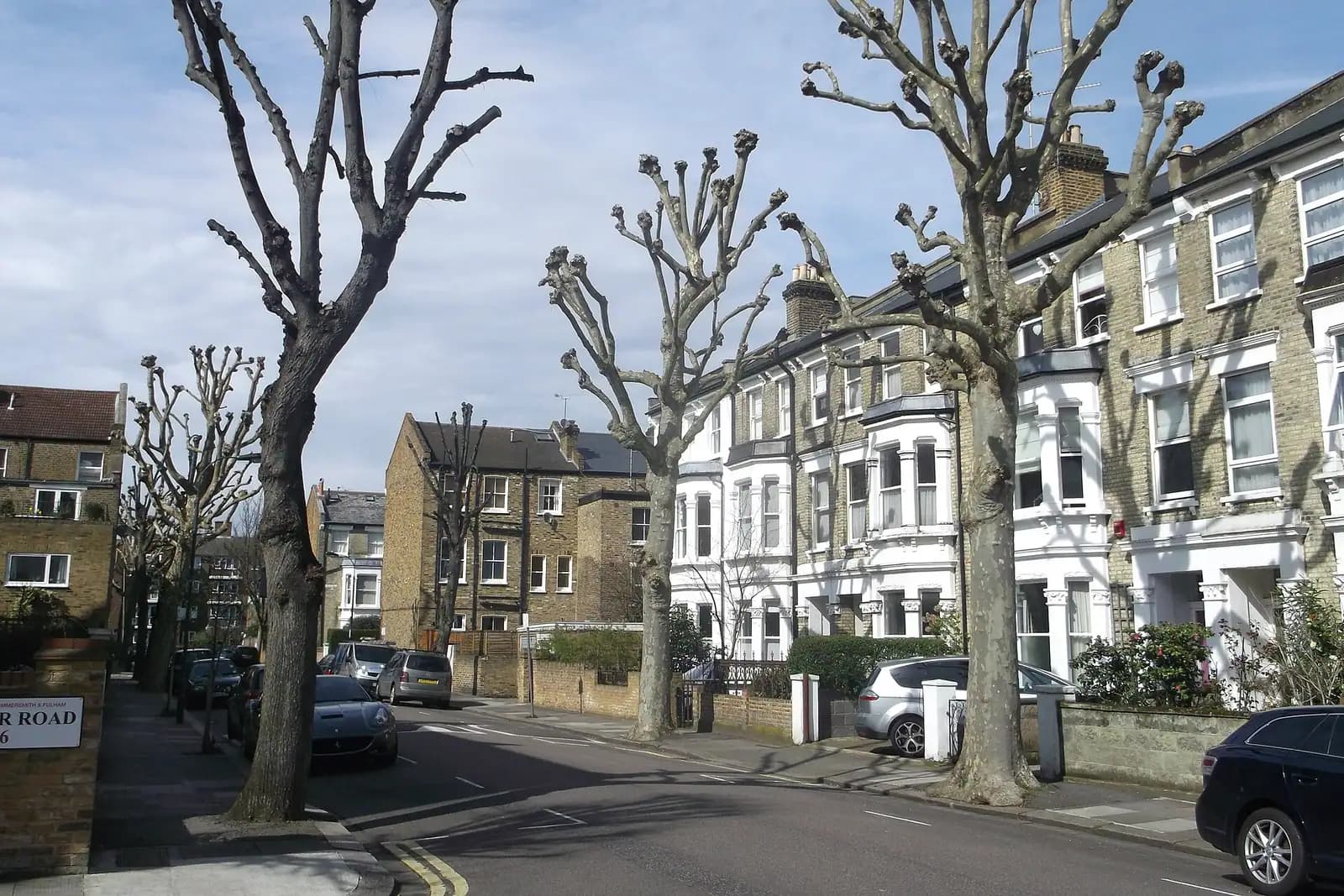 Plane trees pruned to bare stumps lining Agate Road in Hammersmith, with white stuccoed and yellow-brick Victorian terraced houses behind