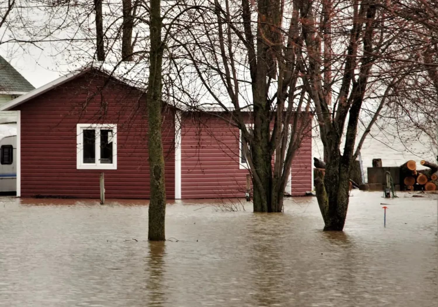 A red clad outbuilding with a white window standing in brown floodwater among bare trees
